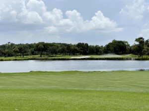 Royal Poinciana Golf Club - Naples Golf Homes Naples Golf Guy
