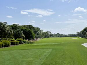Royal Poinciana Golf Club - Naples Golf Homes | Naples Golf Guy