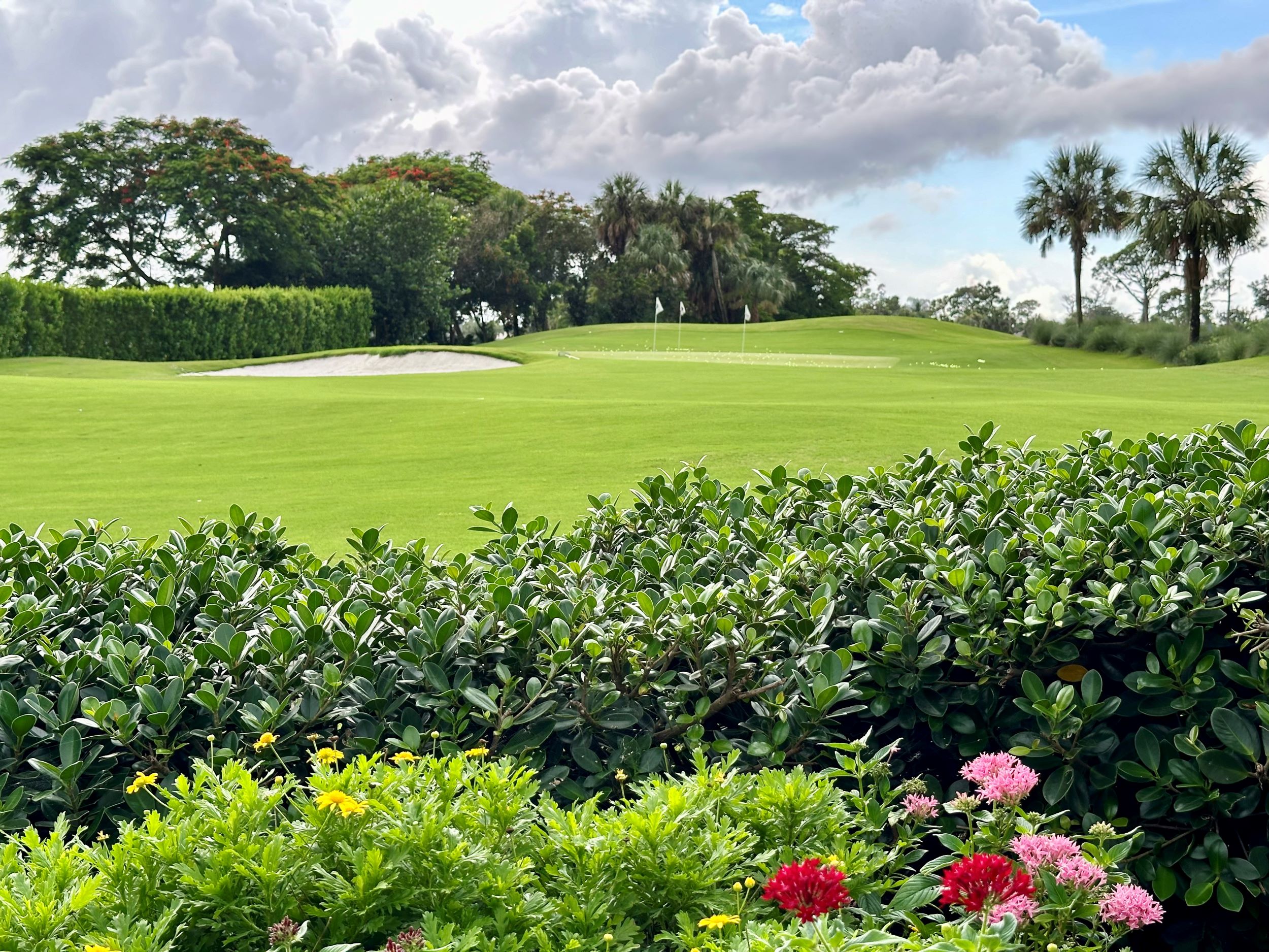 The Forest Country Club Practice Area