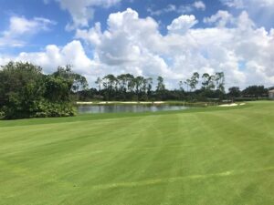 Best Naples Golf Clubs