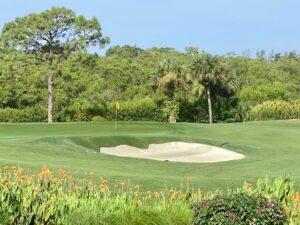 swfl golf community insights