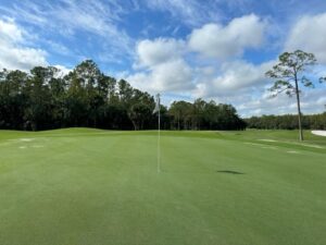 Southwest Florida Latest Golf Home Trends