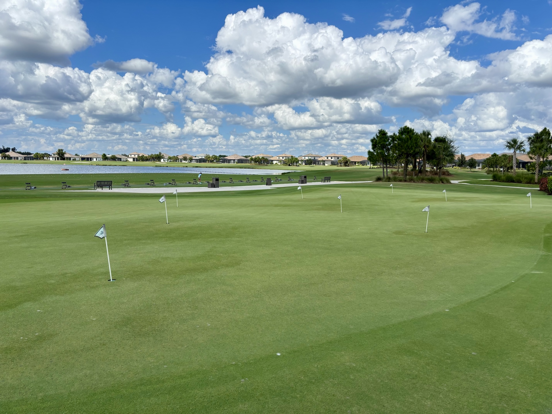 Azario golf club LWR