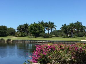 Real Estate Market Snapshot for Naples Golf Communities