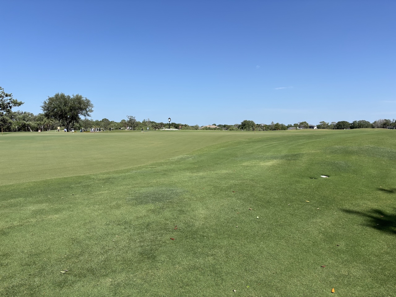 Member owned golf sarasota