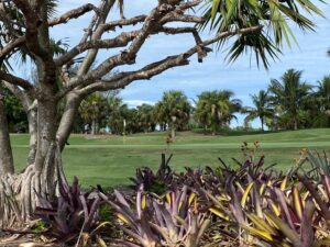 Naples Golf Courses