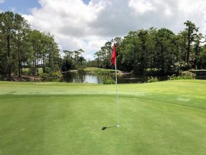 Golf Community Trends in Southwest Florida in Grey Oaks