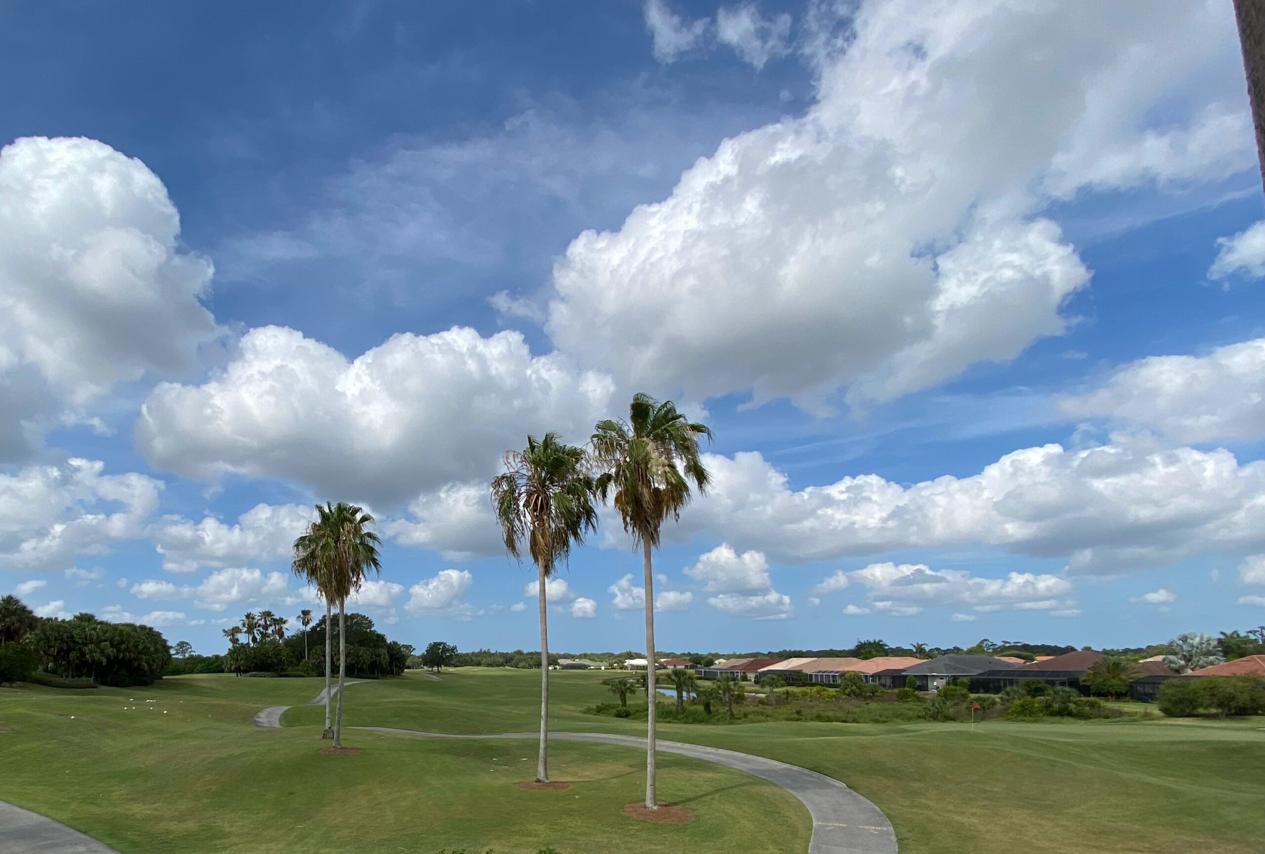 Venice golf communities