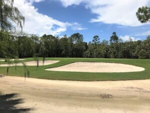 Ask a professional about Naples Gated Golf Communities