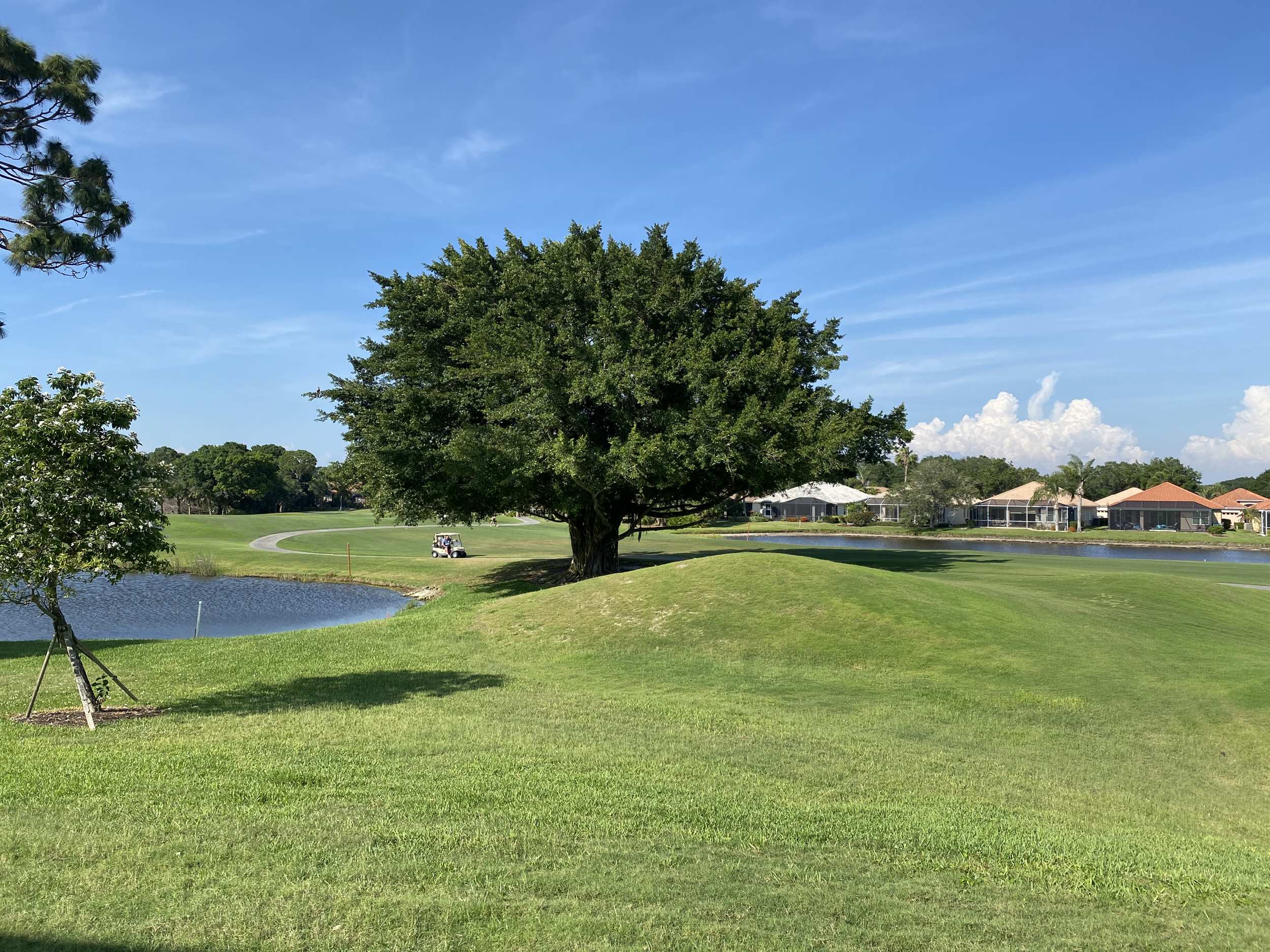 Pelican Pointe Golf Club