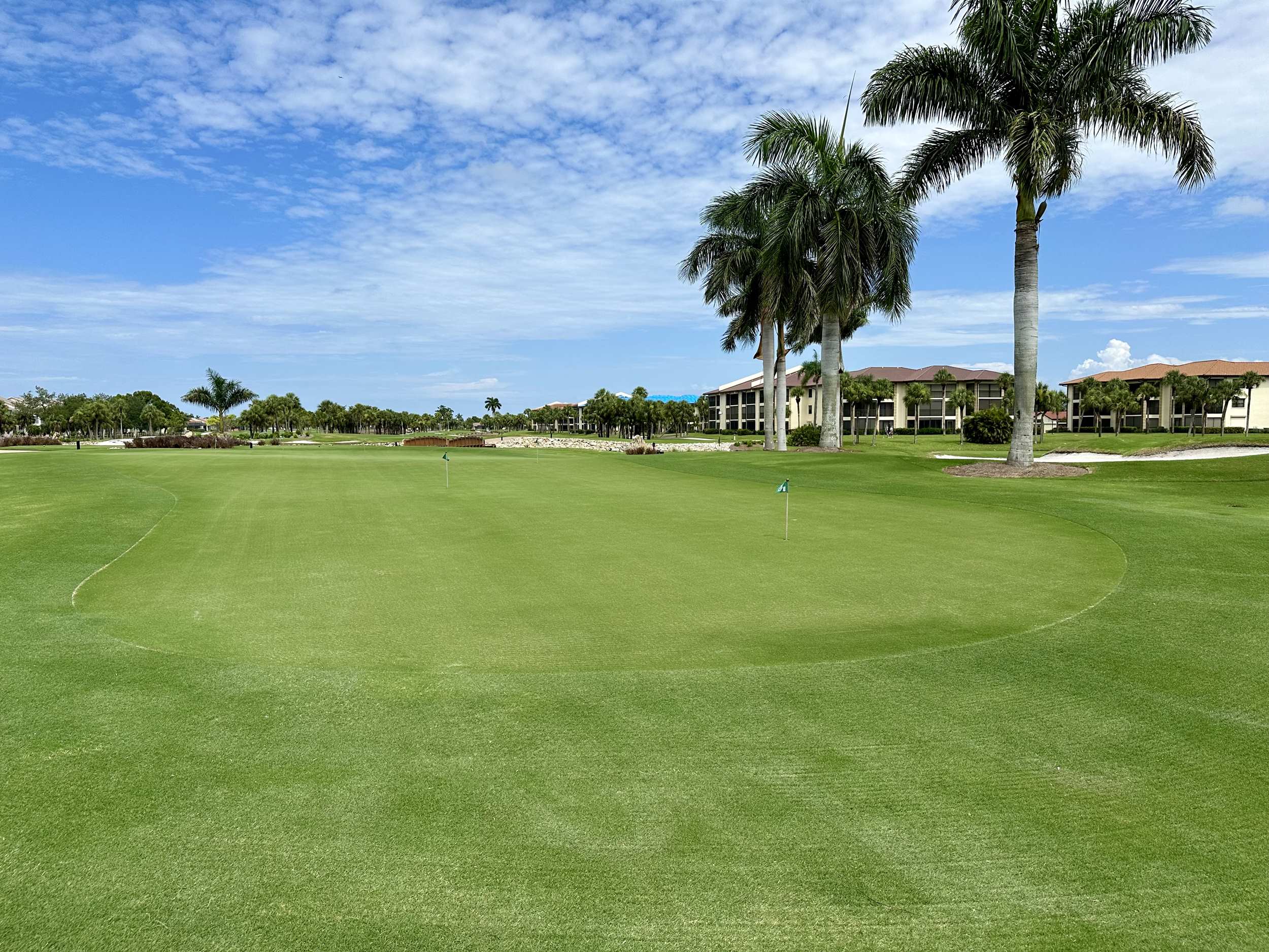 putting green