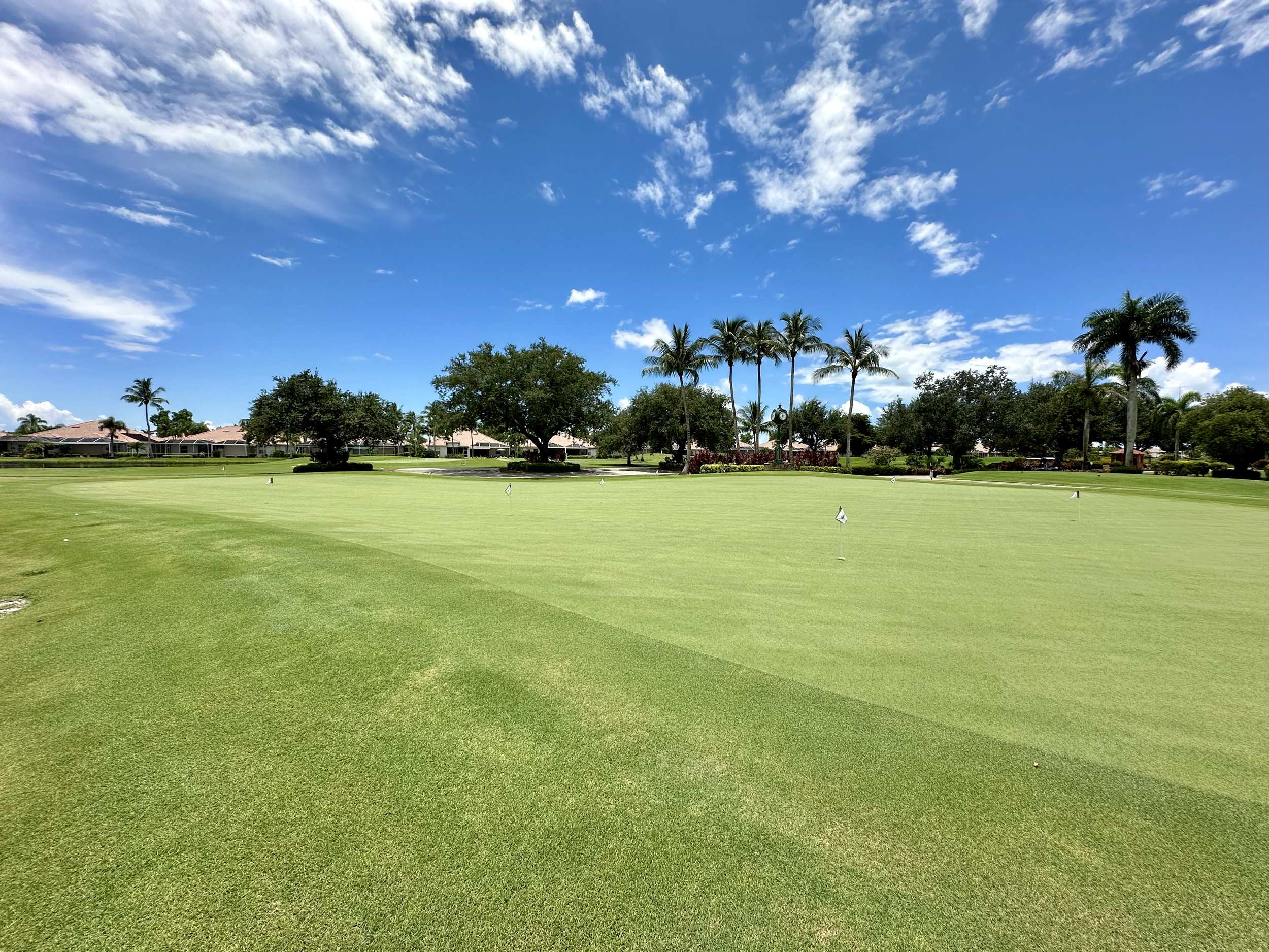 putting green