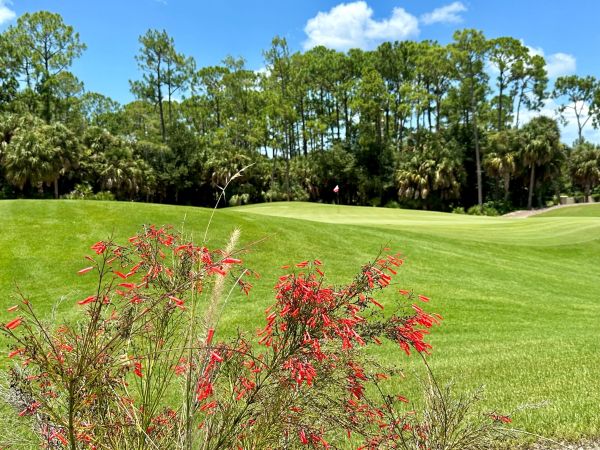 Mediterra Country Club Naples Florida