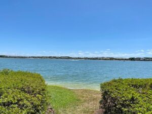 Miromar Lakes Condominium Waterview