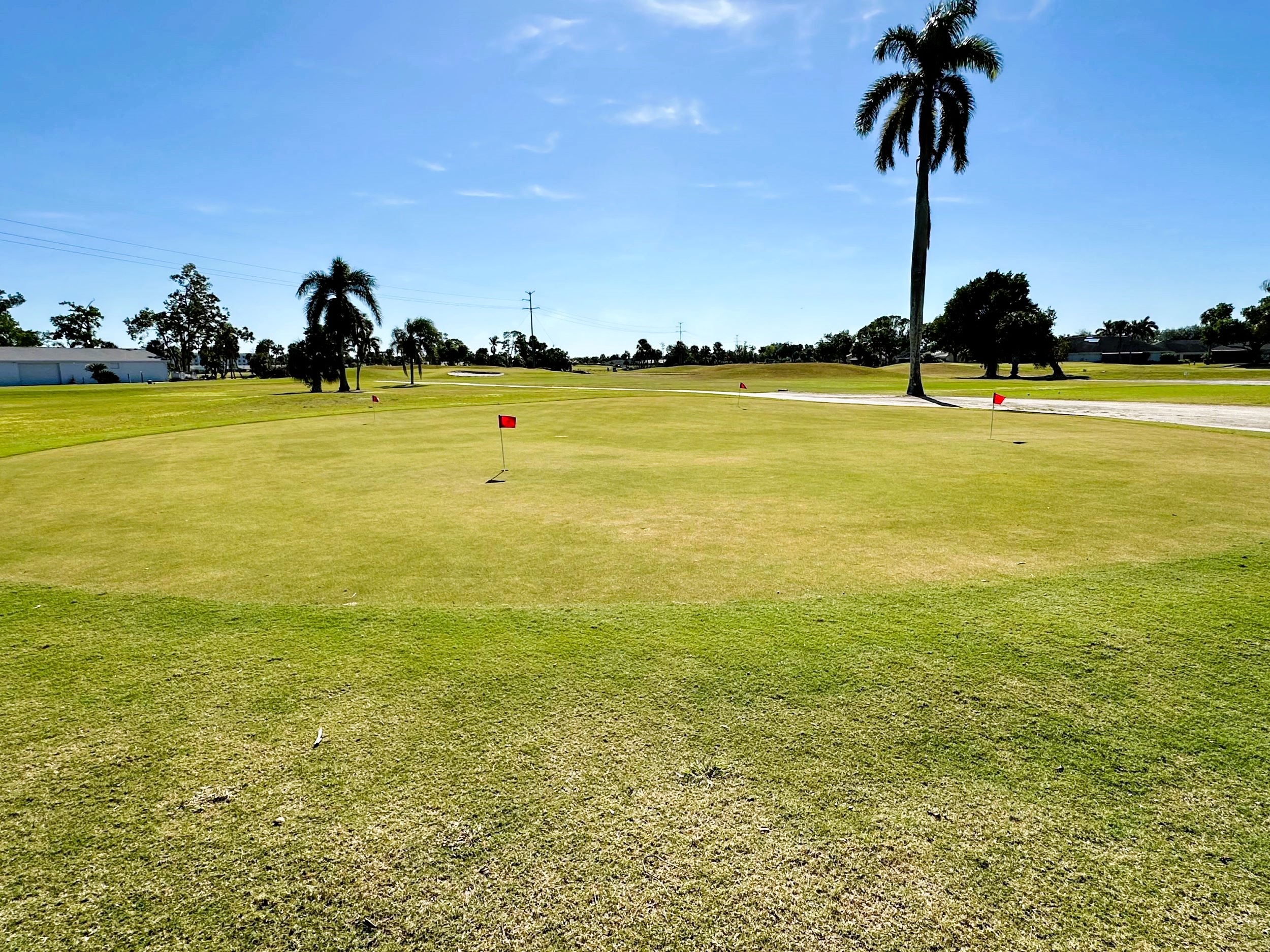 putting green