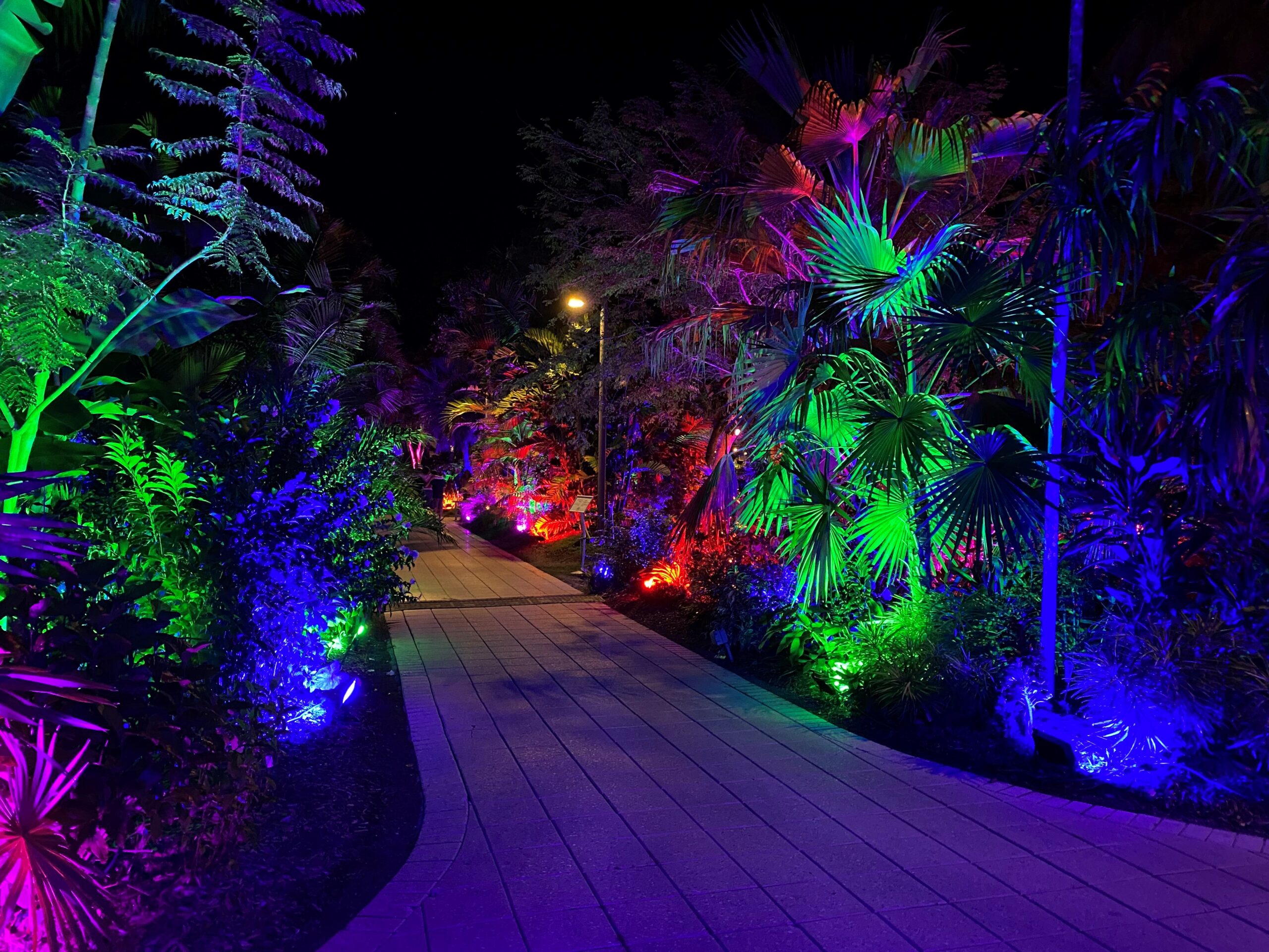 Naples Botanical Garden Night Lights