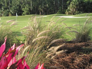 Naples Heritage Golf Club