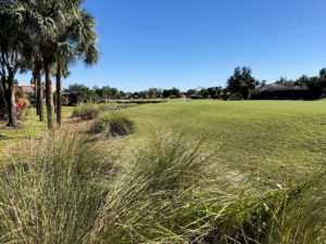 SWFL Luxury Golf Property Trends in Estero