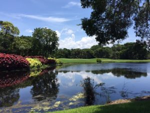 Naples Golf Communities