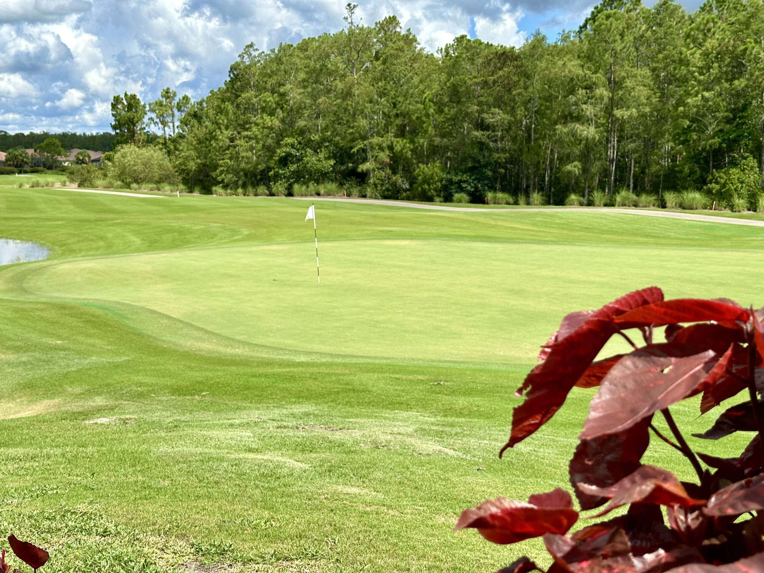 Ft Myers Golf Communities