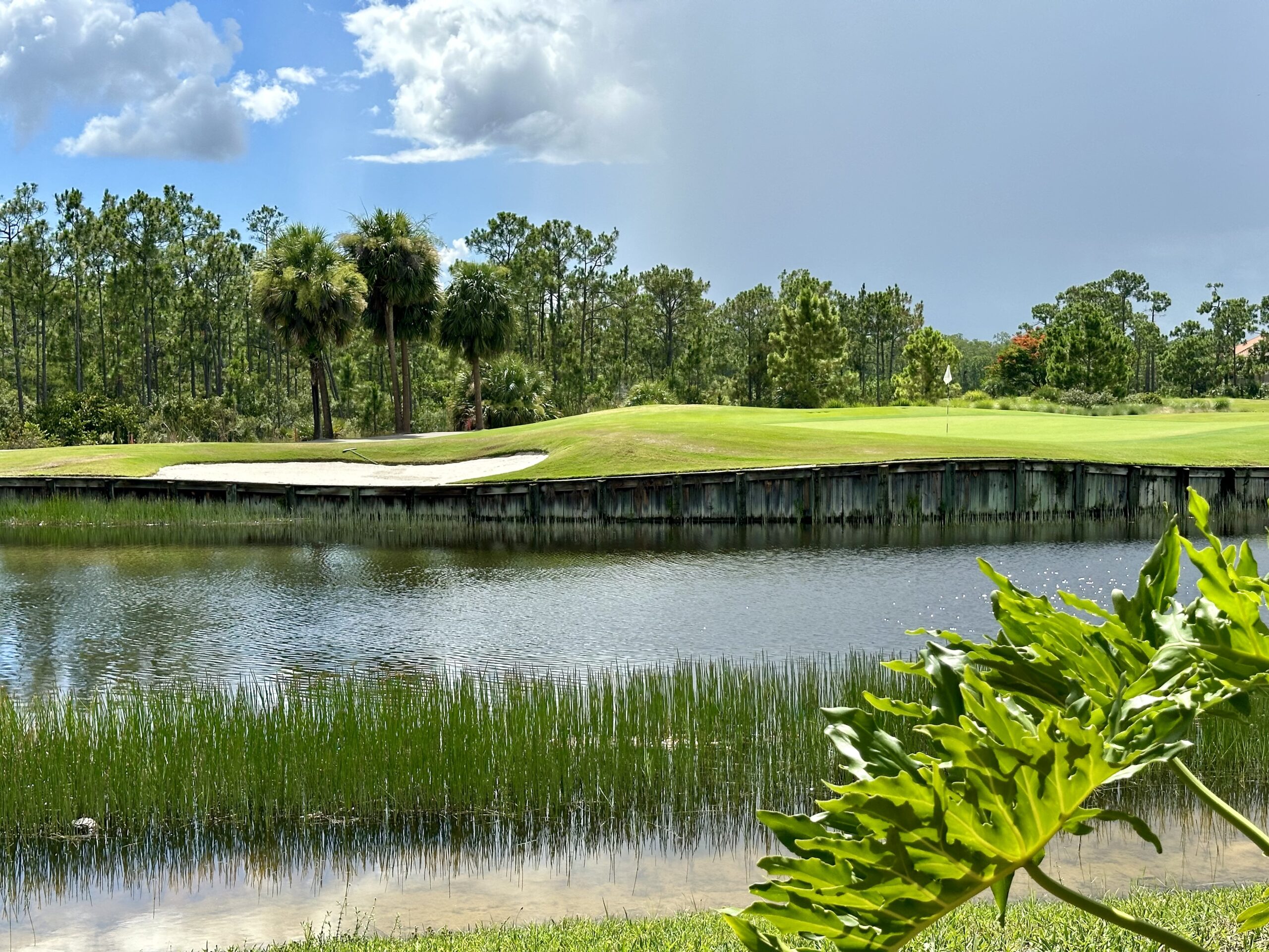 Plantation Golf Club