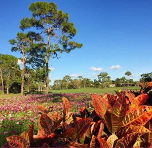 Lely Country Club Condo overlooks Royal Palm Golf Course