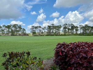 Spring Run Estero FL