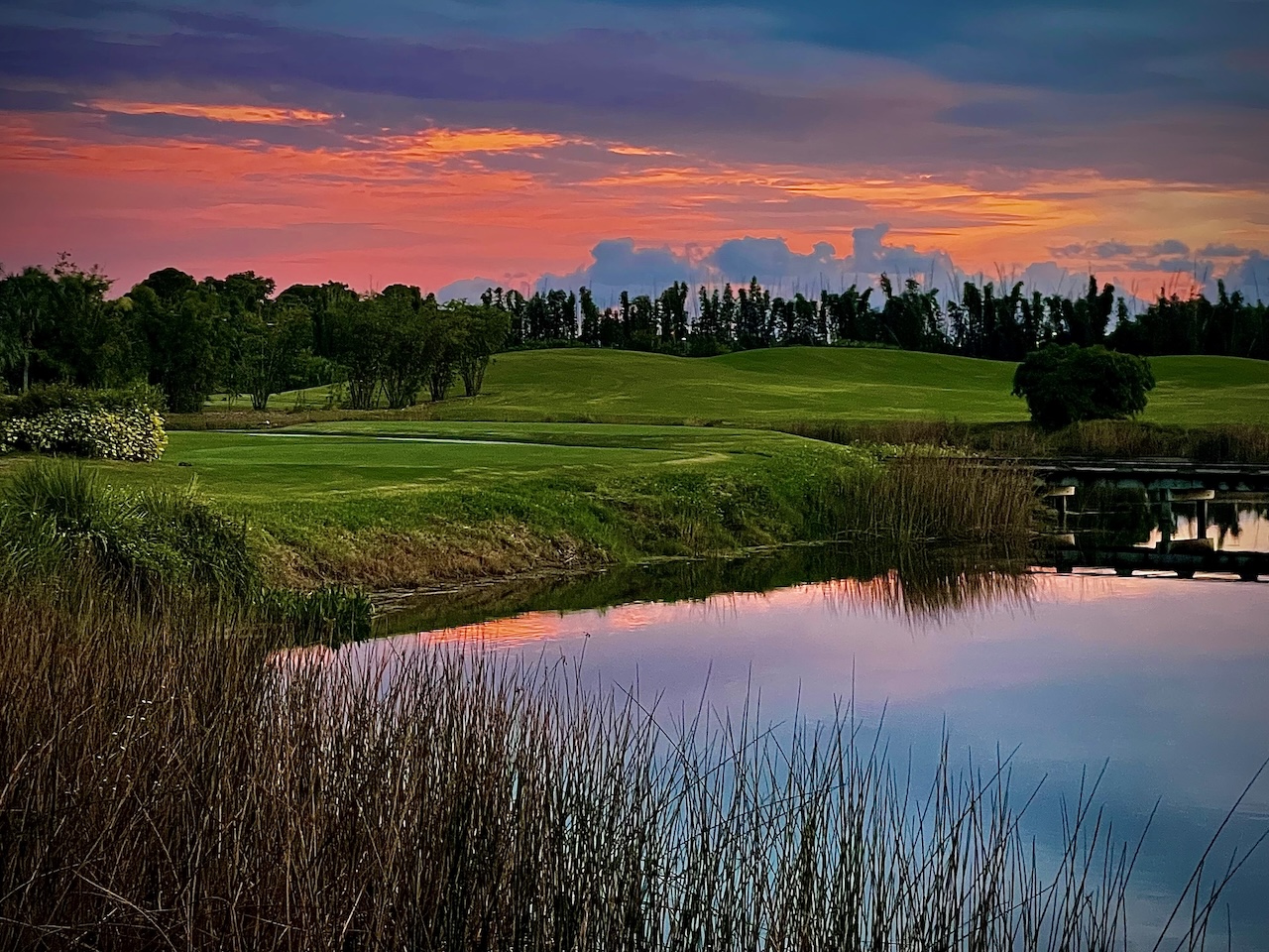 Venice Golf club