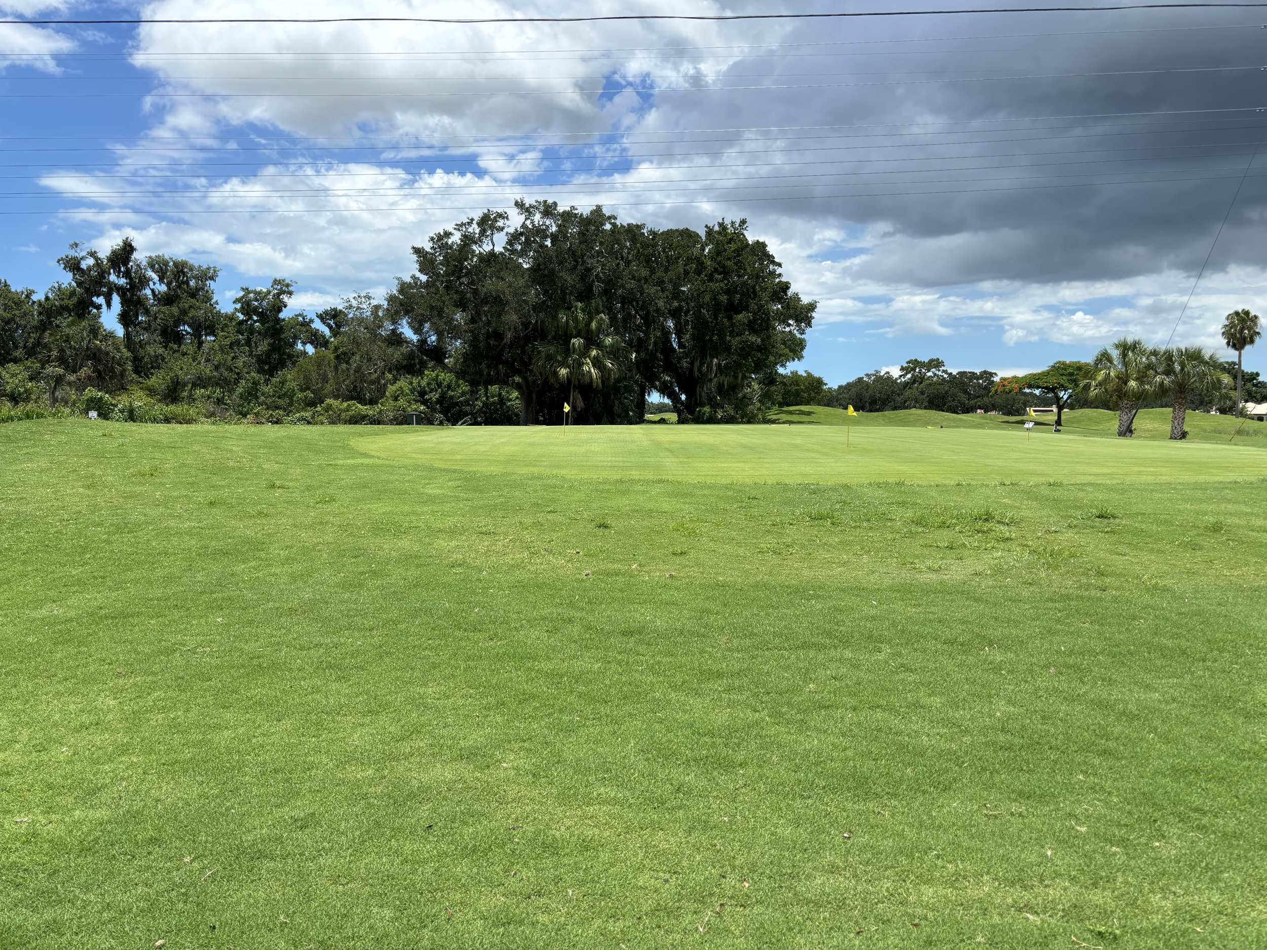 putting green