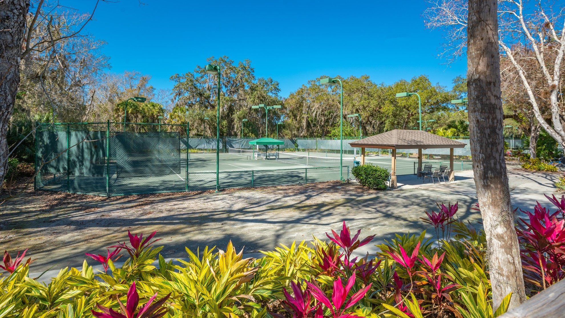 The Meadows Tennis Sarasota FL