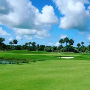 A Treviso Bay Luxury Home Overlooks the TPC Treviso Bay Golf Course