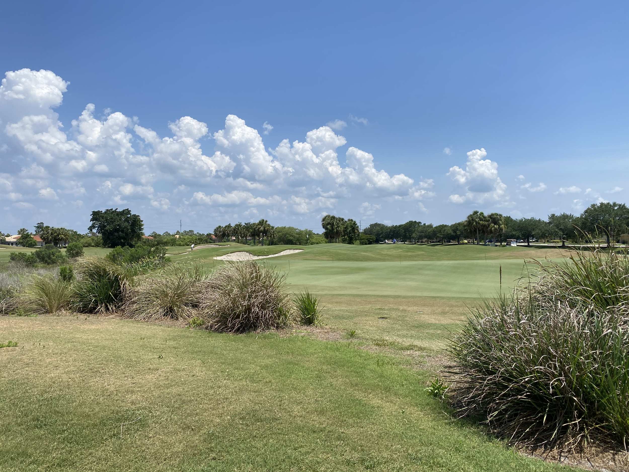 Venetian Golf Club Venice