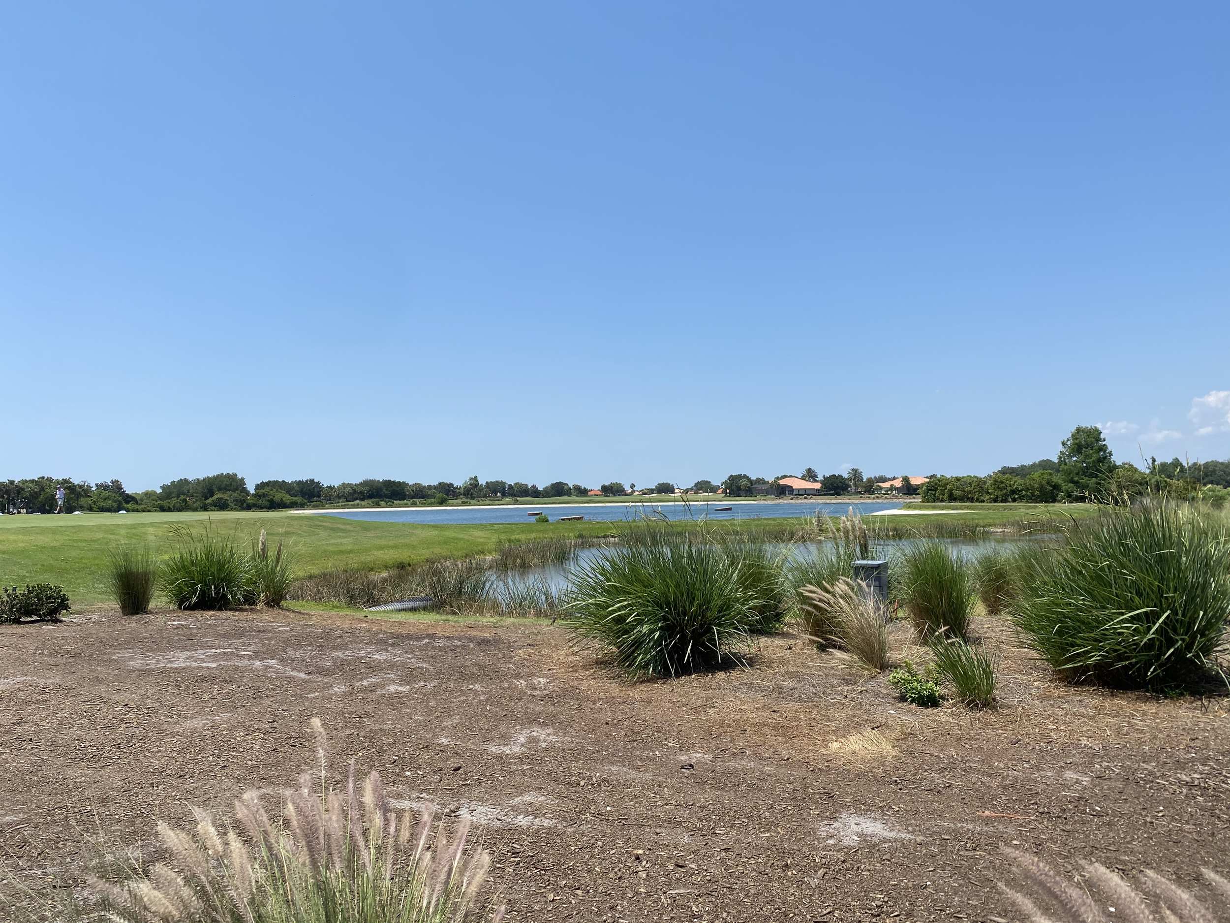 Venetian Golf Club Sarasota