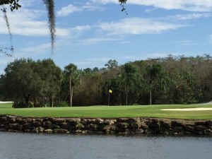 Estero Golf Communities