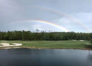 cedar hammock golf and country club naples fl