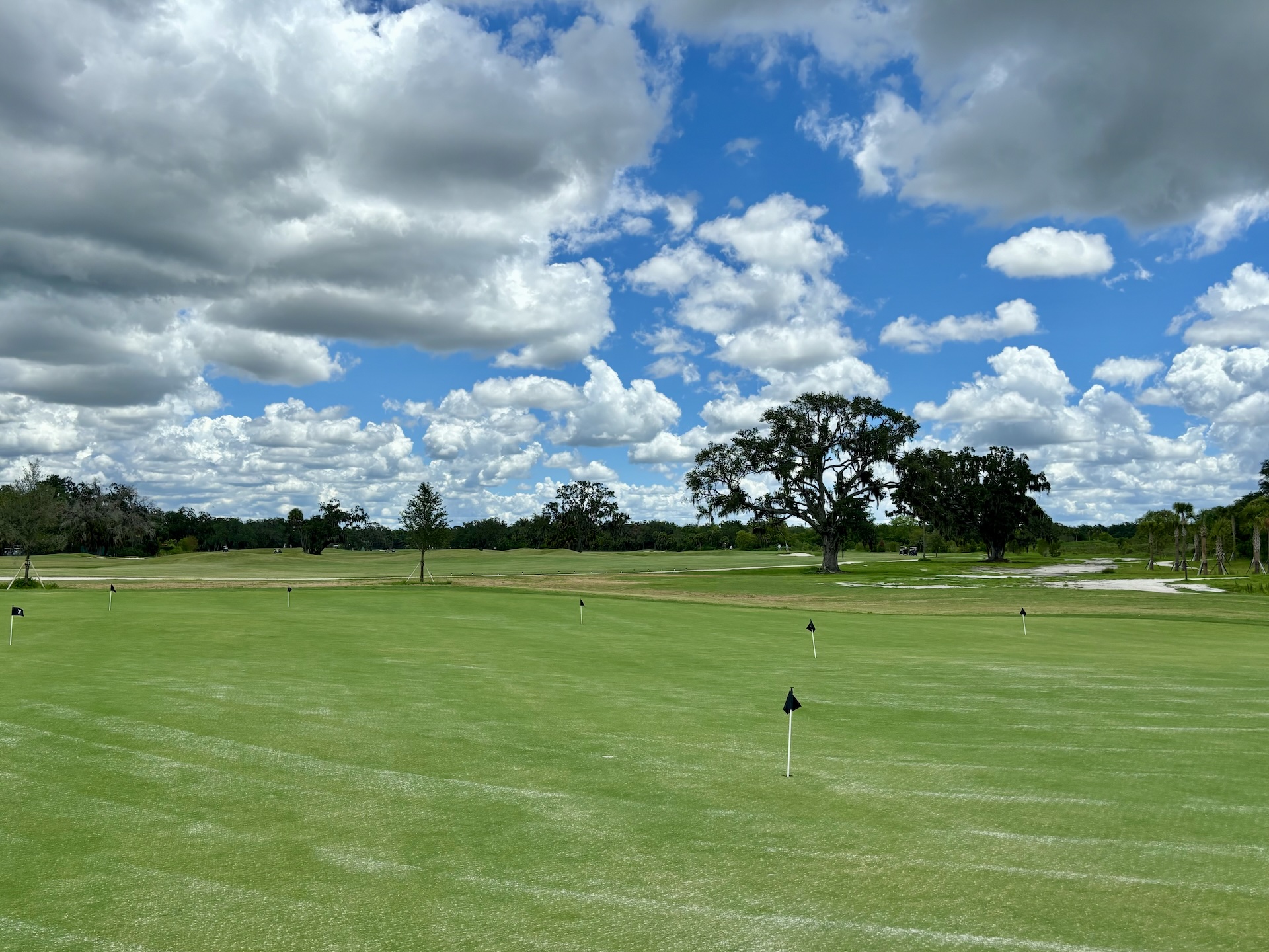 Sarasota Putting Green