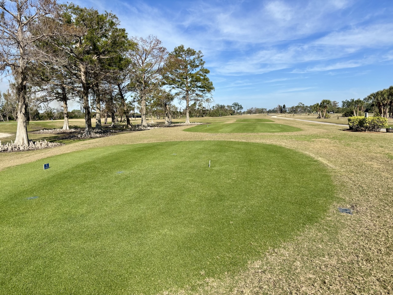 Myakka Pines Golf Information