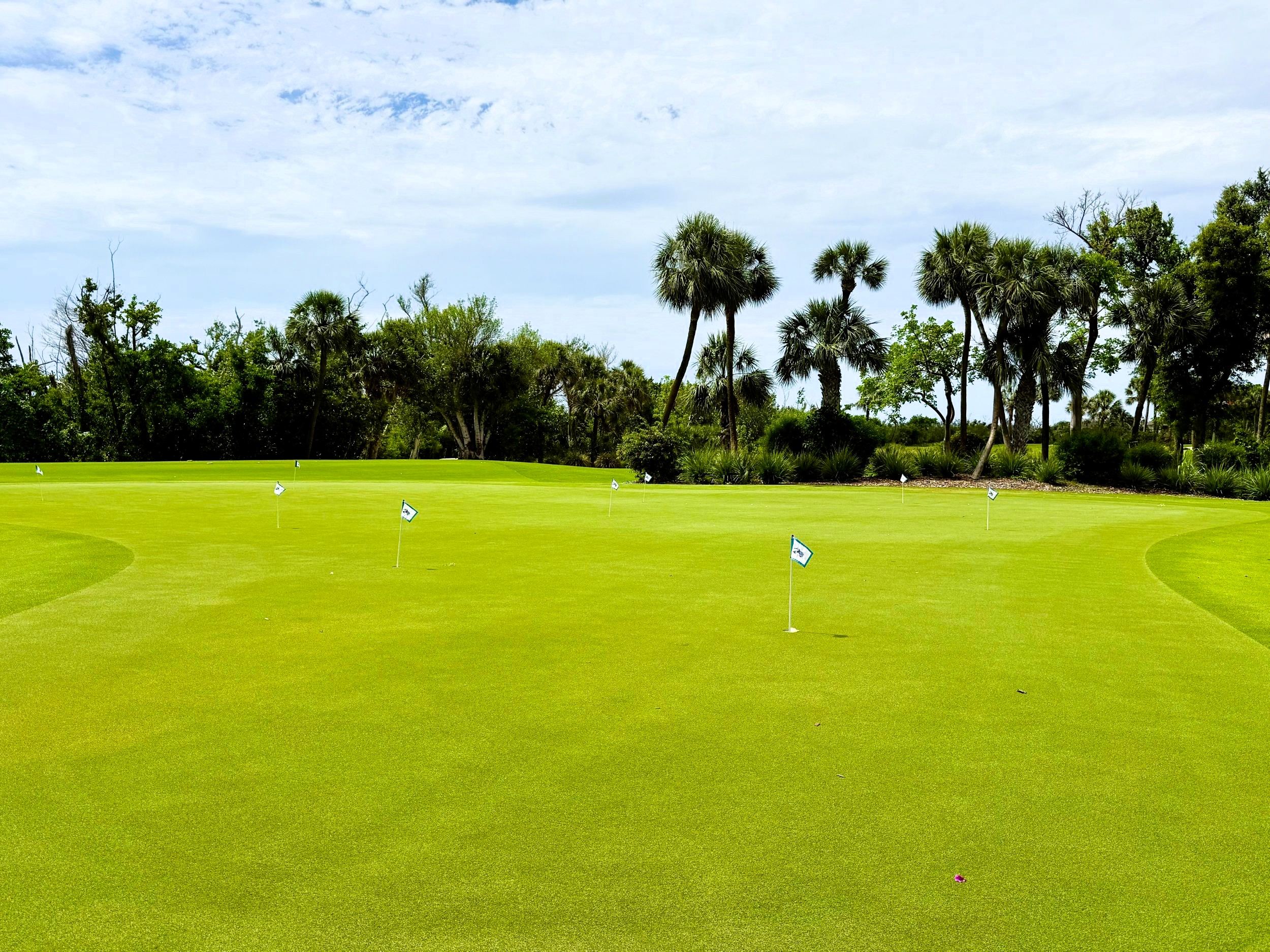 putting green