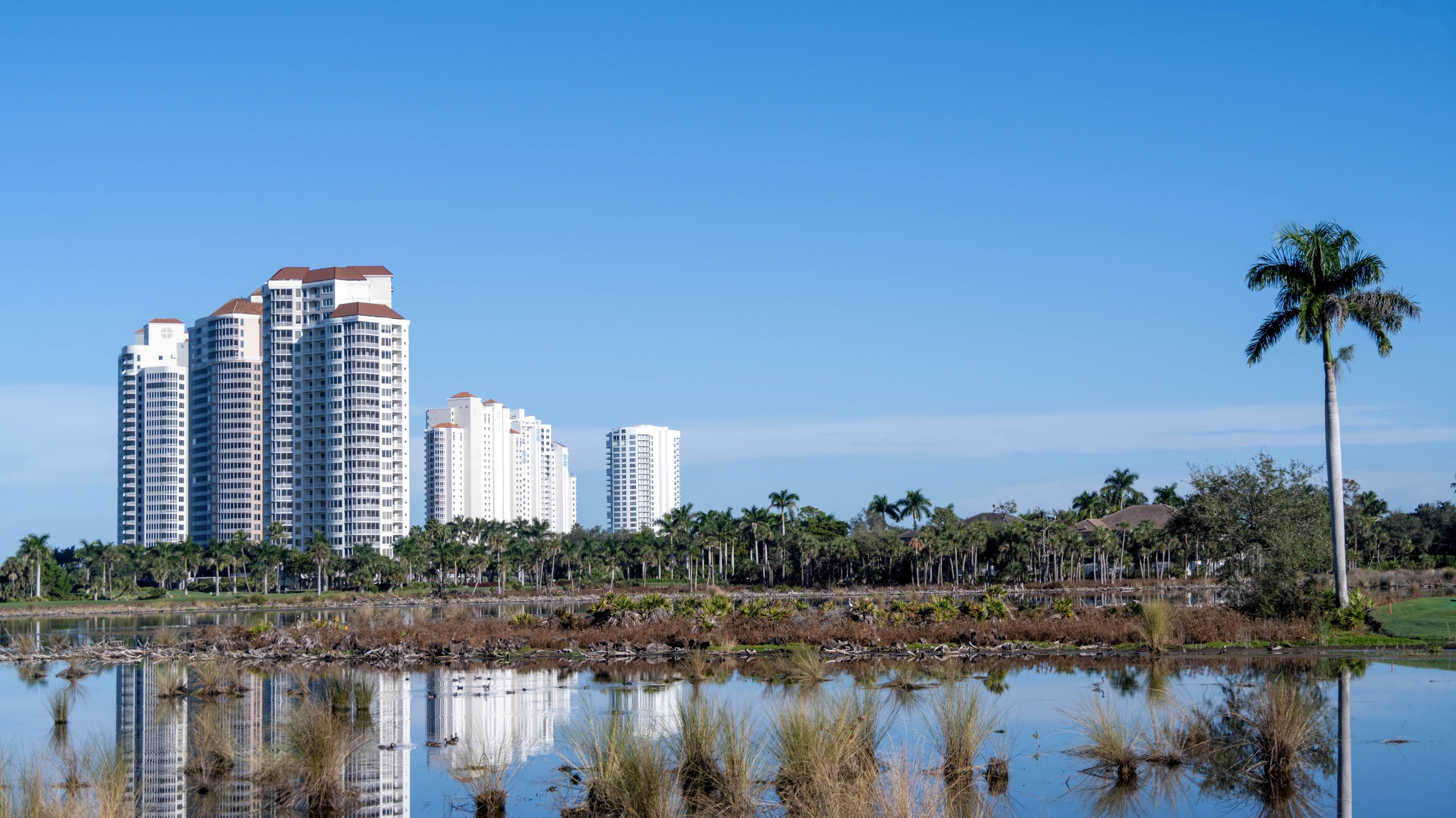 Bonita Bay Real Estate