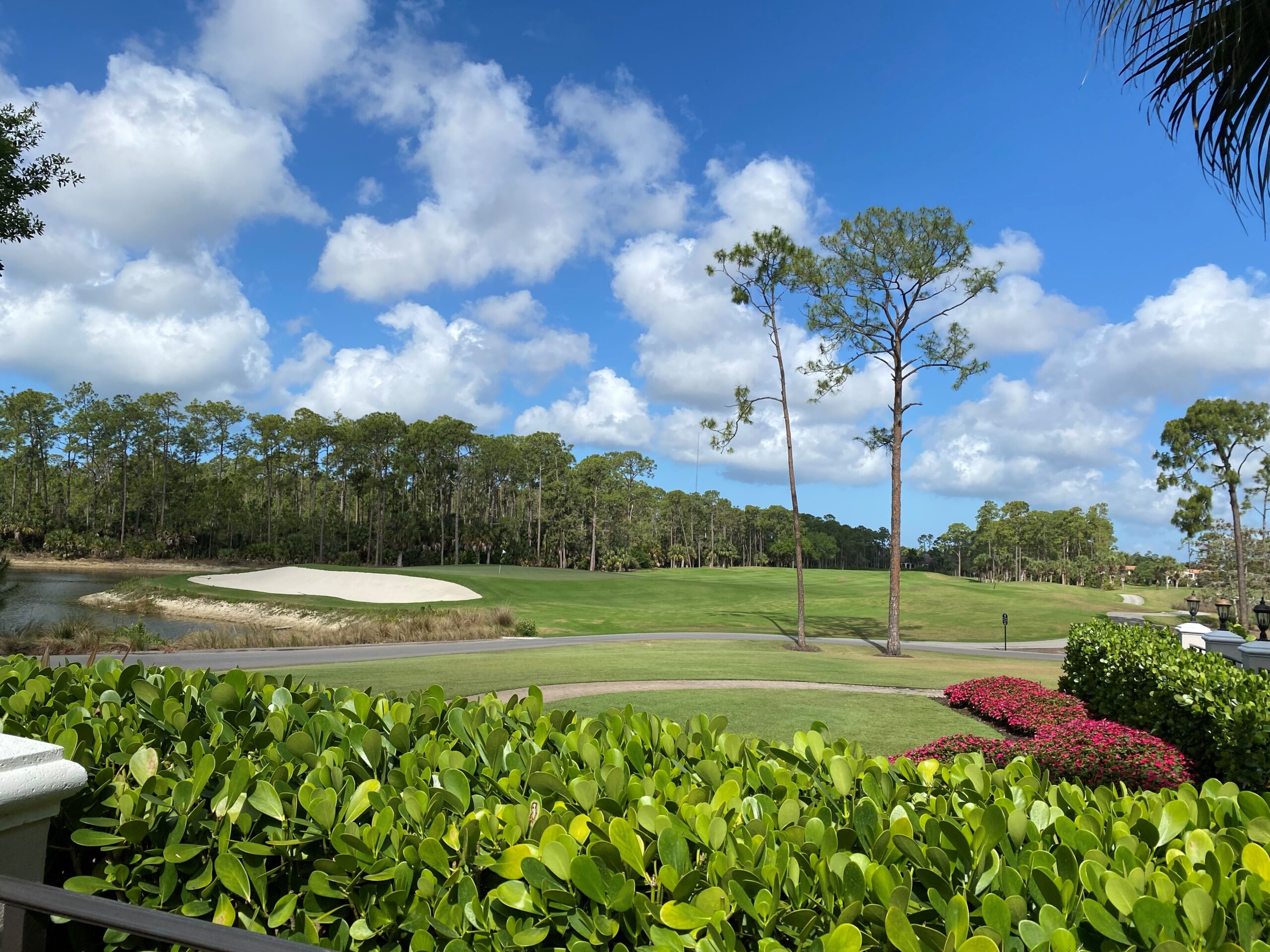 Mediterra Membership Options